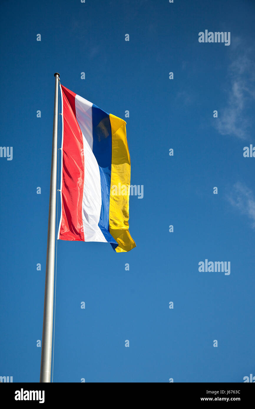 Drapeau Drapeau Carnival Carnival fastnachtfahne rosemontag sitzungen carneval de Mayence Banque D'Images