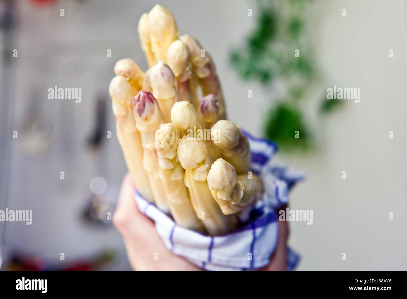 Mains tenant beelitz asperges Banque D'Images