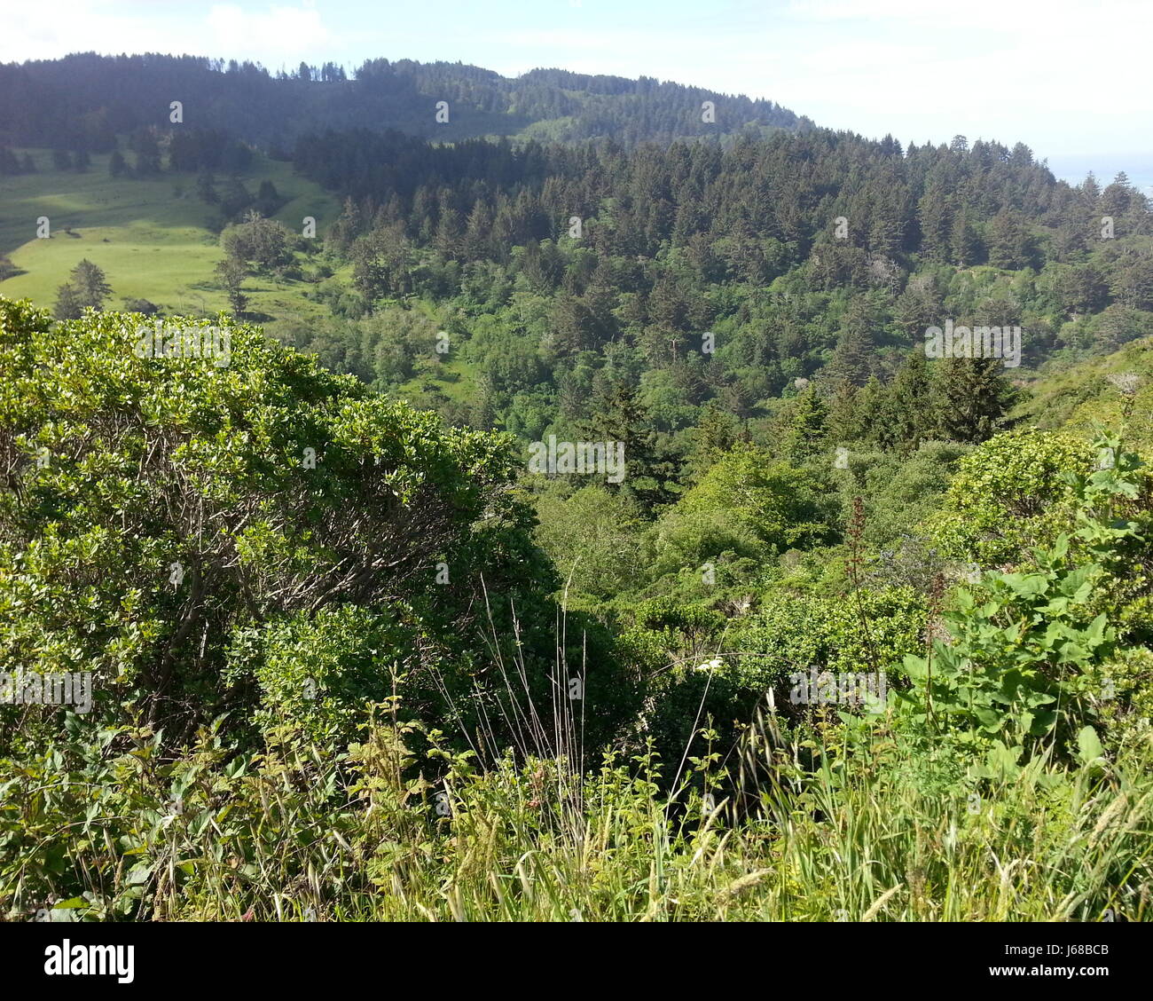 Campagne du nord de la Californie Banque D'Images