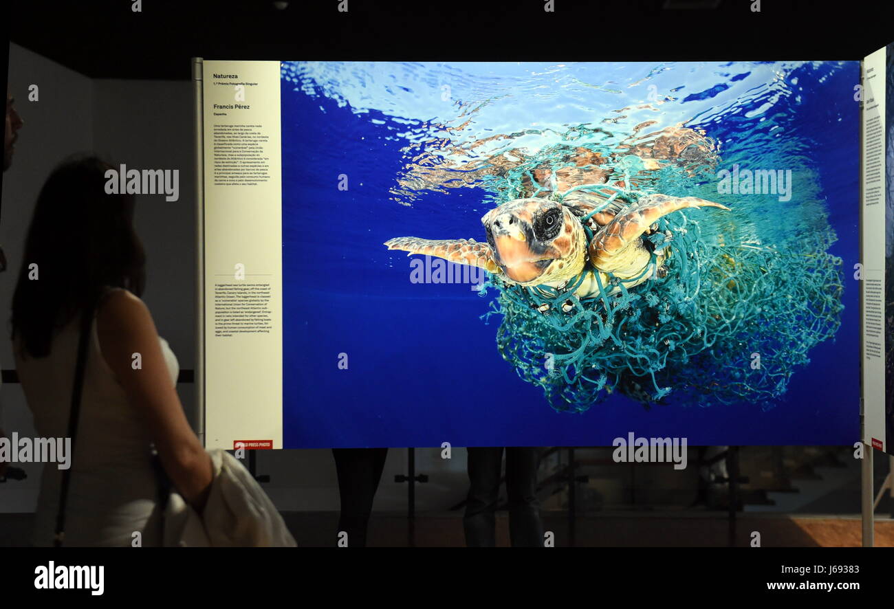 Lisbonne, Portugal. 19 mai, 2017. Une femme visite l'exposition World Press Photo 2017 à Lisbonne, Portugal, le 19 mai 2017. Credit : Zhang Liyun/Xinhua/Alamy Live News Banque D'Images