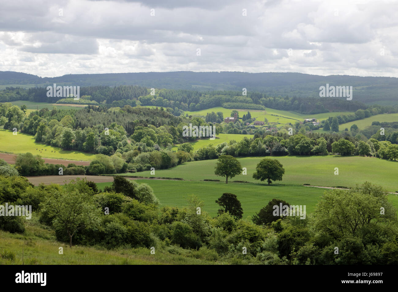 Albury, Surrey, UK. 20 mai 2017. Une vue magnifique sur les collines du Surrey de Newlands Corner vers Albury sur une journée de soleil et d'une douche. Credit : Julia Gavin UK/Alamy Live News Banque D'Images