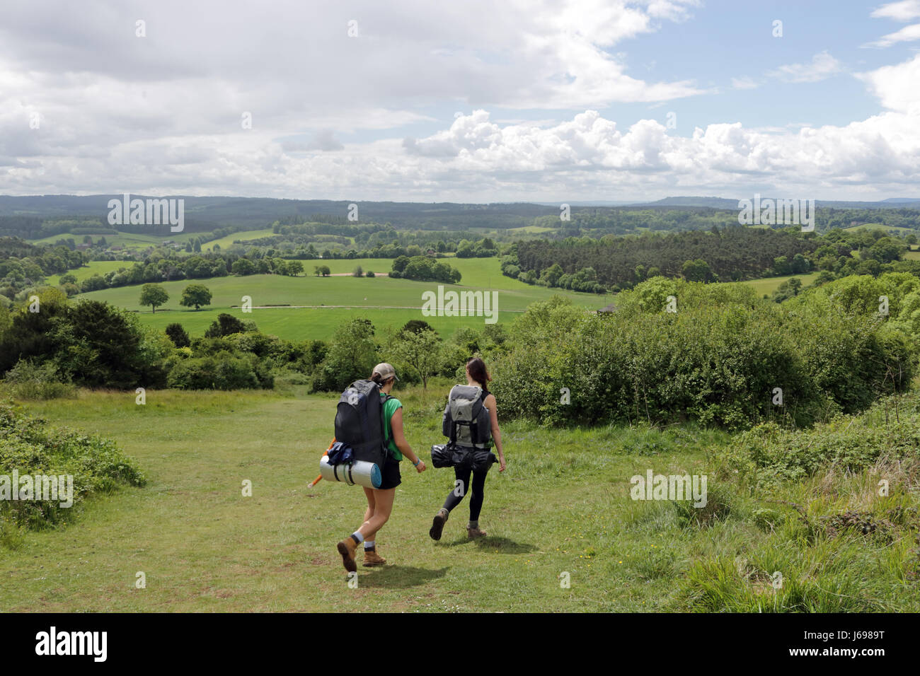 Newlands Corner, Surrey, UK. 20 mai 2017. Une vue magnifique sur les collines du Surrey de Newlands Corner vers Albury, un jour de soleil et de douches. Credit : Julia Gavin UK/Alamy Live News Banque D'Images