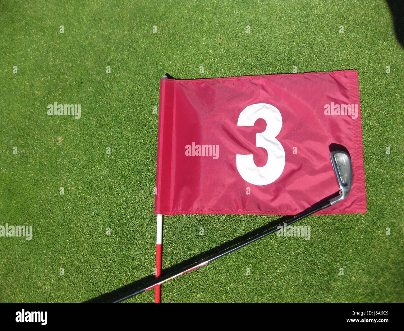 Balle Balle de golf du golfe du pavillon vert foret pavillon fer Balle Balle de golf percer du golfe Banque D'Images