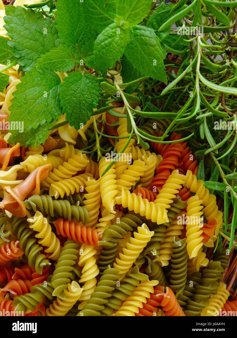 Nouilles pâtes nouilles menthe pâte hélices rosemary melissa aliment  alimentaire green Photo Stock - Alamy