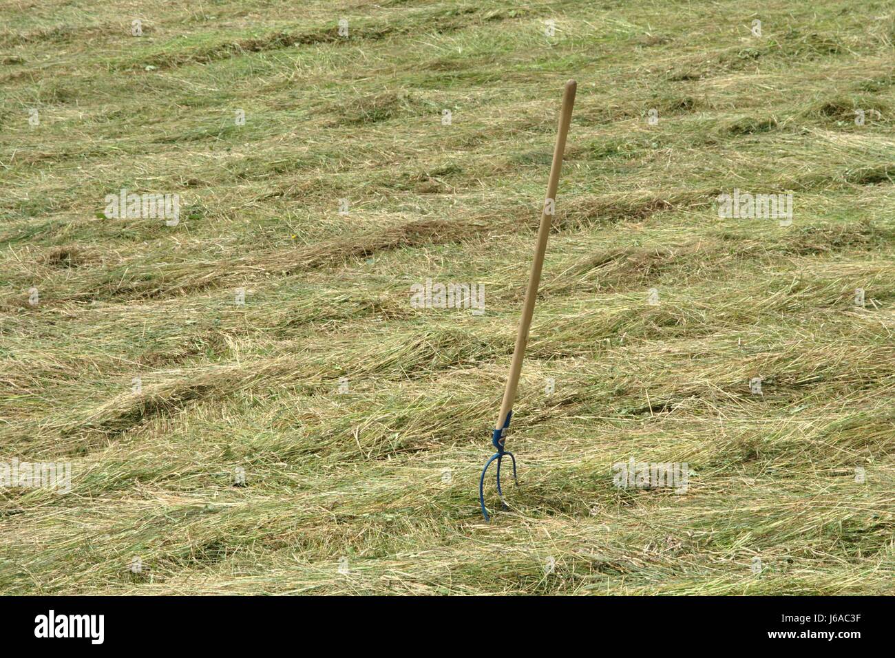 Tablier hay meadow pelouse fourrages verts Agriculture agriculture montagnes grange à foin Banque D'Images