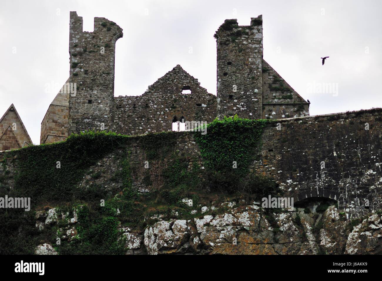 Le Rock of Cashel se lever au-dessus de la campagne irlandaise à Cashel, comté de Tipperary, Irlande. Banque D'Images