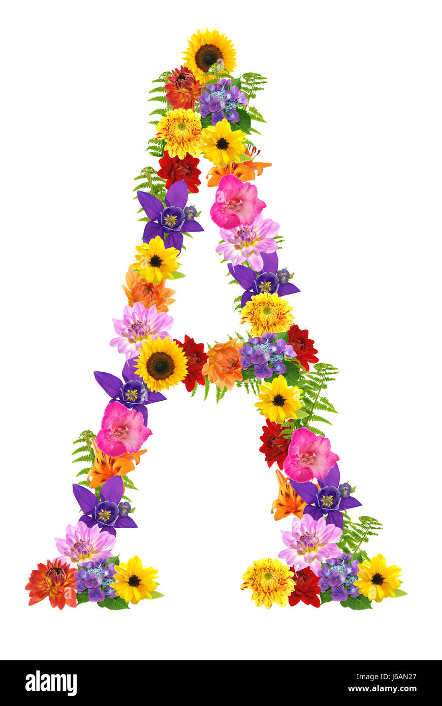 Plante fleur fleurs lettres lettre alphabet coloré superbe Banque D'Images