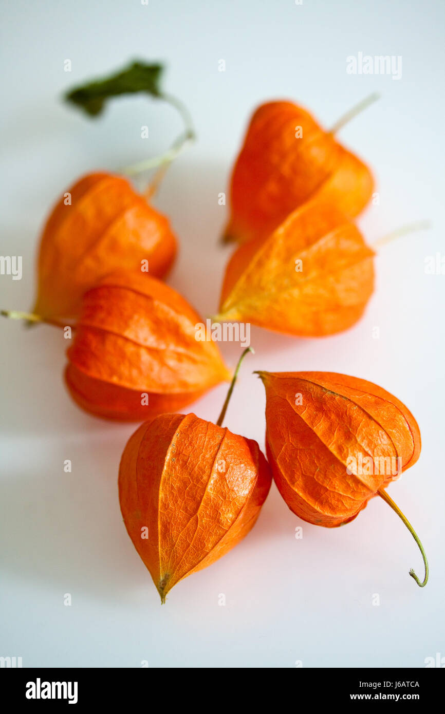 Fruits orange orange douce exotiques alimentaire aliment exotique riche en fruits doucement Banque D'Images