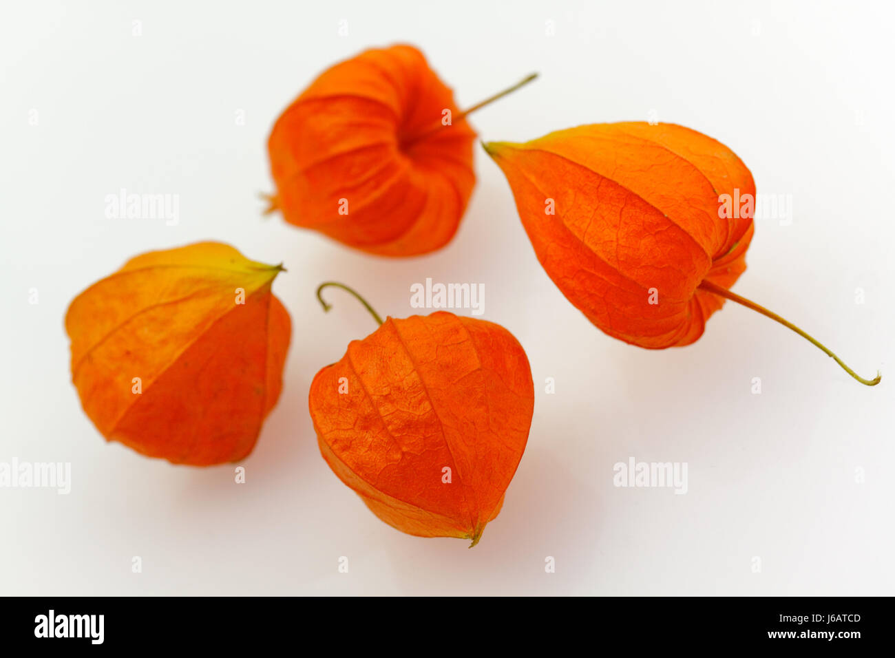 Fruits orange orange douce exotiques alimentaire aliment exotique riche en fruits doucement Banque D'Images