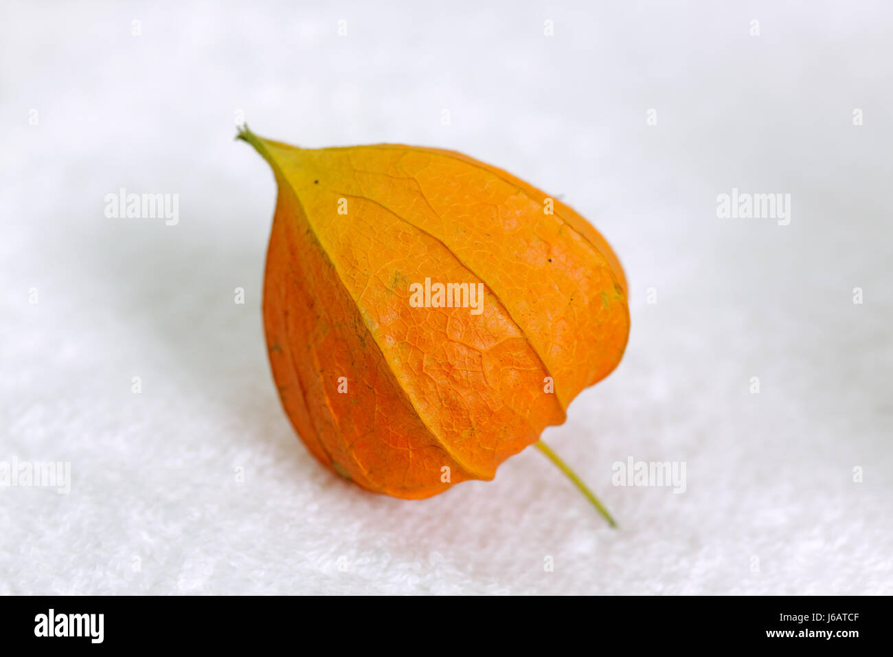 Fruits orange orange douce exotiques alimentaire aliment exotique riche en fruits doucement Banque D'Images