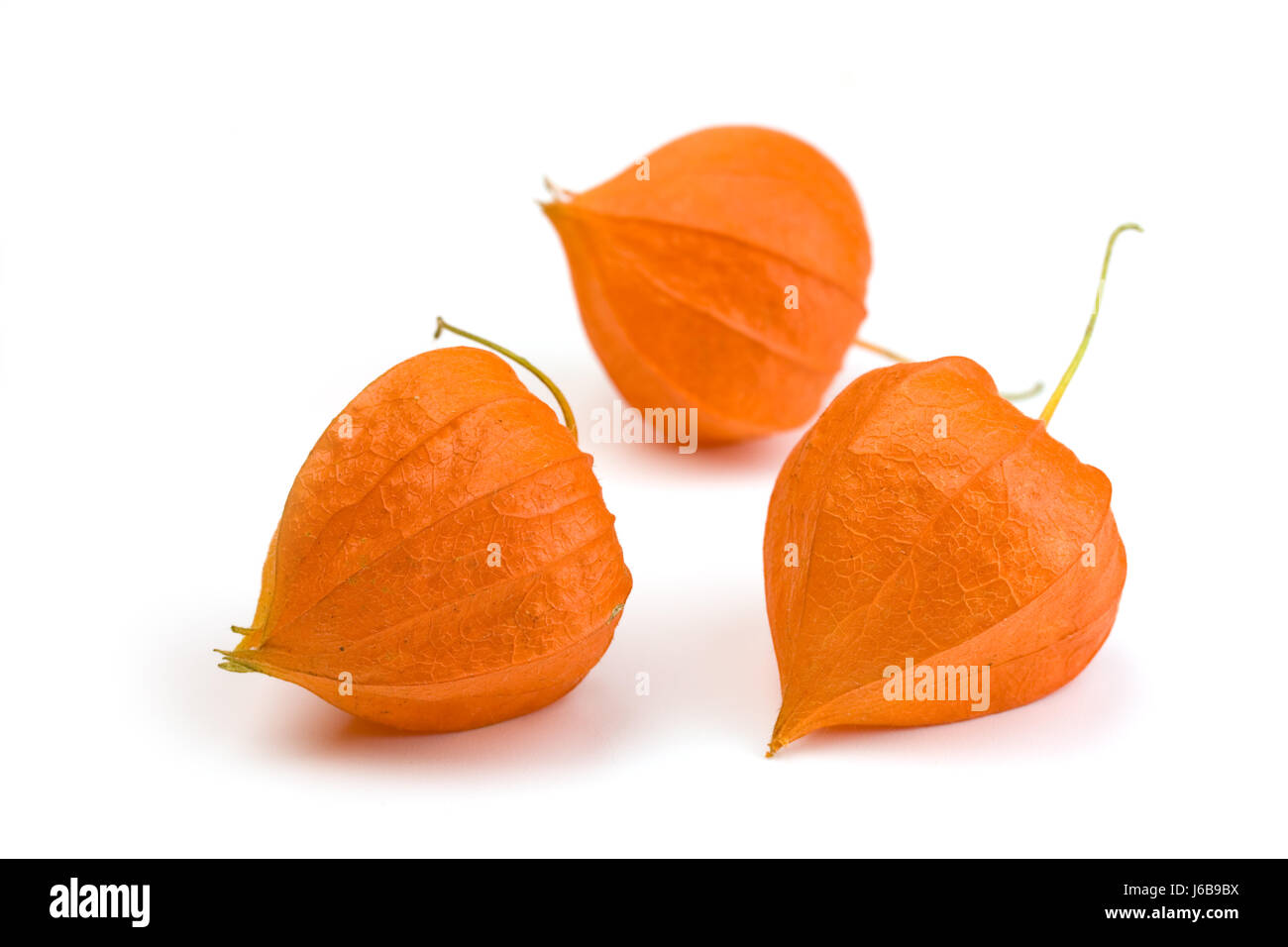 Fruits juteux doux orange orange aliment aliments exotiques fruits doucement riche exotiques Banque D'Images