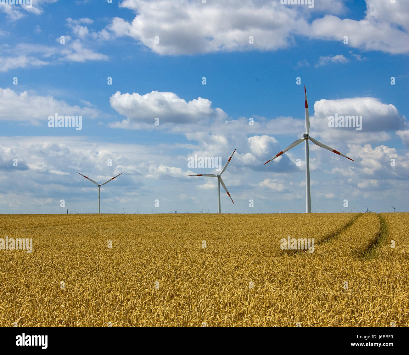 windpark4 Banque D'Images