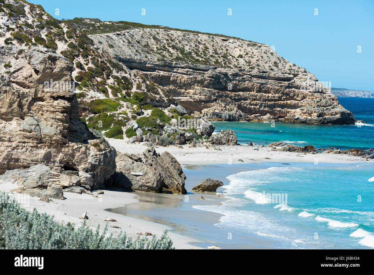 Seal Bay, Kangaroo Island, Australie du Sud, Australie. Banque D'Images