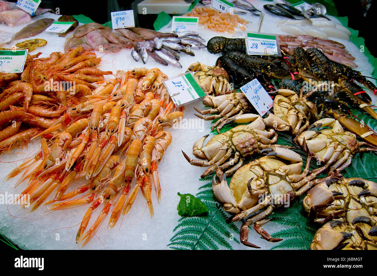 Crustacés crevettes fruits de mer animaux marché aux puces marché hebdomadaire orange Banque D'Images