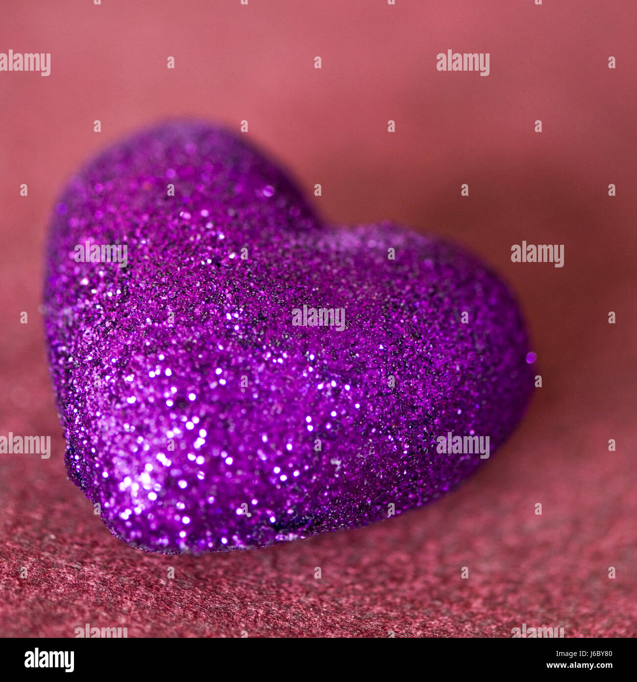 Purple heart Banque D'Images