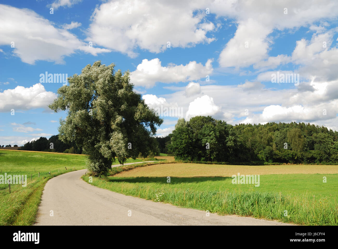 Paysage paysage arbre nature campagne bleu naturel vert pelouse déposé seul Banque D'Images