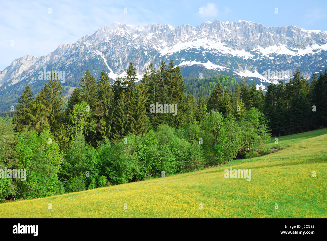 L'Autriche alpes montagnes paysage nature paysage idyllique campagne arbre de montagne Banque D'Images