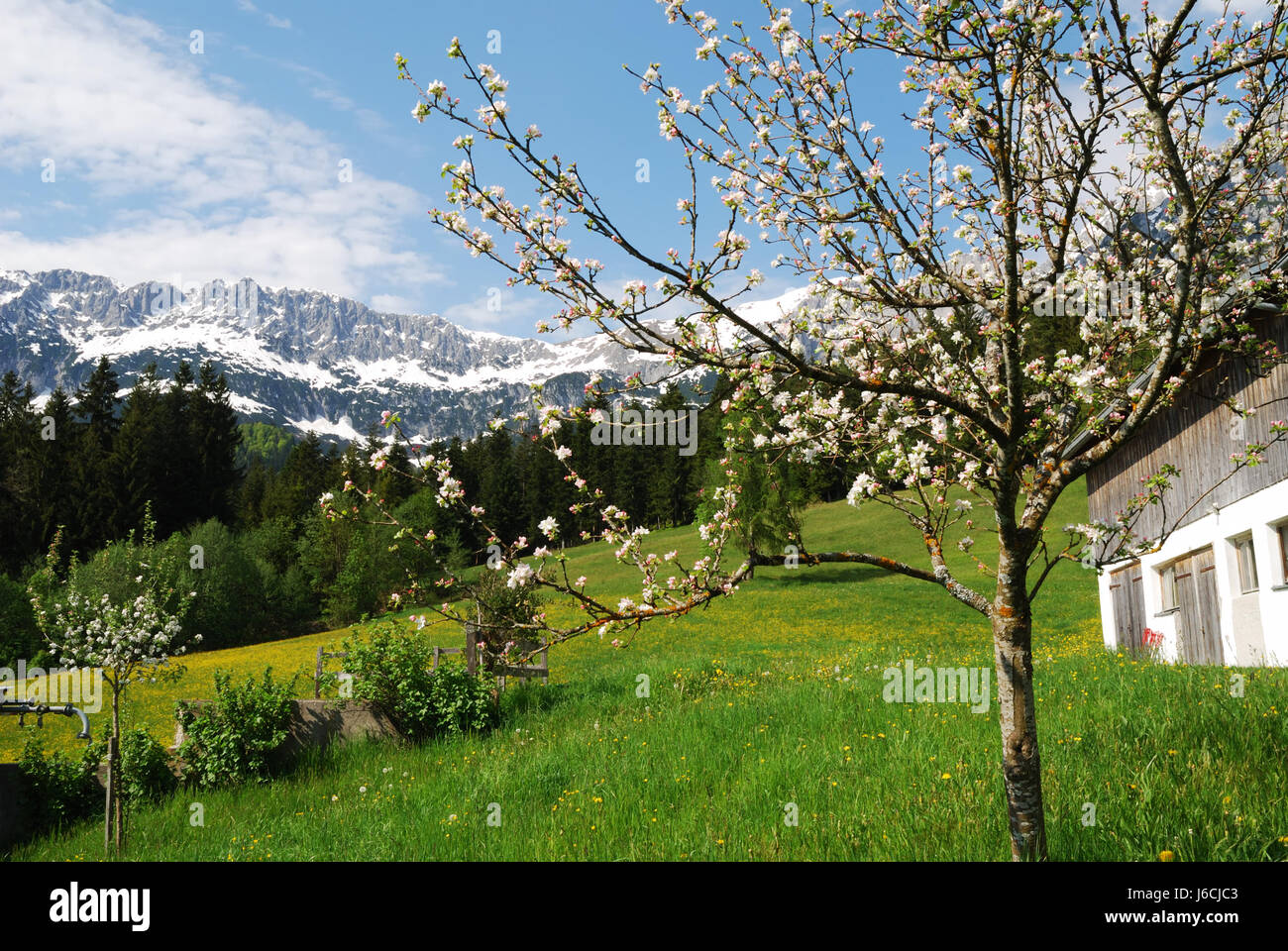 L'Autriche alpes montagnes paysage nature paysage idyllique paysage de montagne Banque D'Images