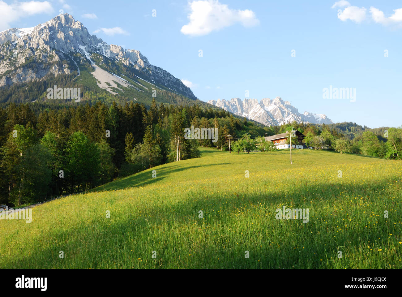 L'Autriche alpes montagnes paysage nature paysage idyllique campagne arbre de montagne Banque D'Images