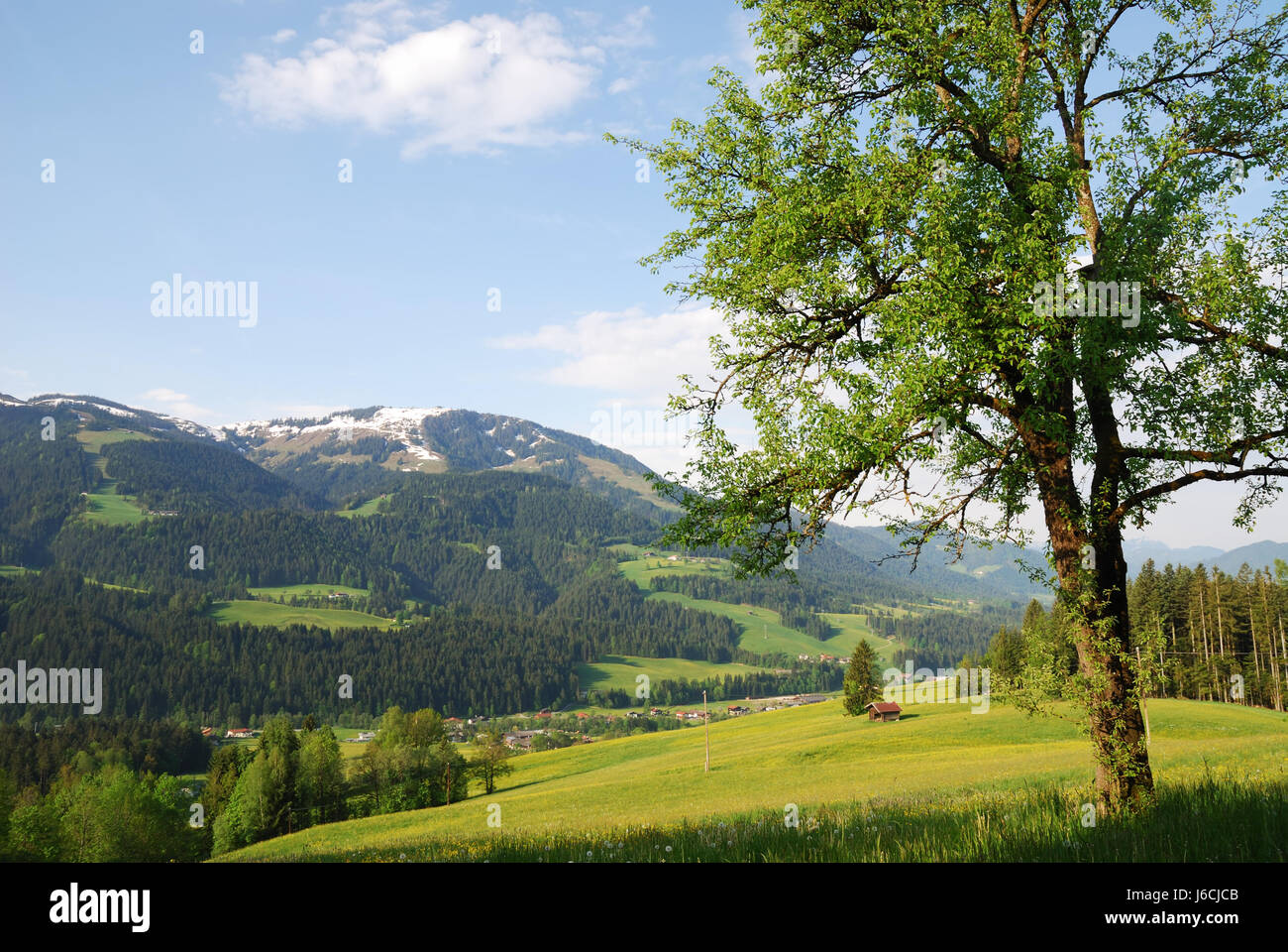 Montagne alpes autriche pays paysage paysage idyllique nature campagne Banque D'Images