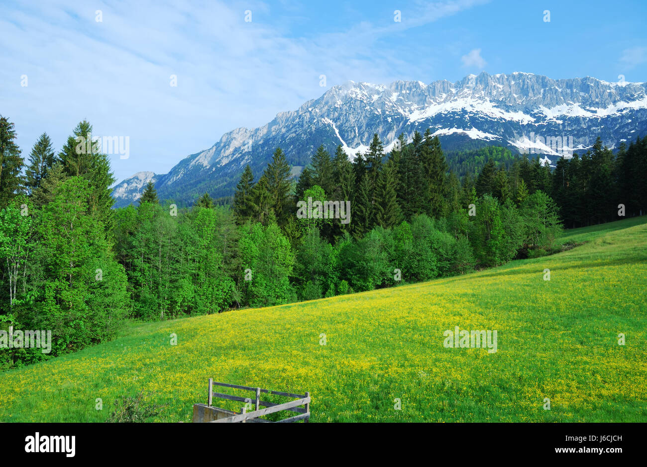 L'Autriche alpes montagnes paysage nature paysage idyllique campagne arbre de montagne Banque D'Images