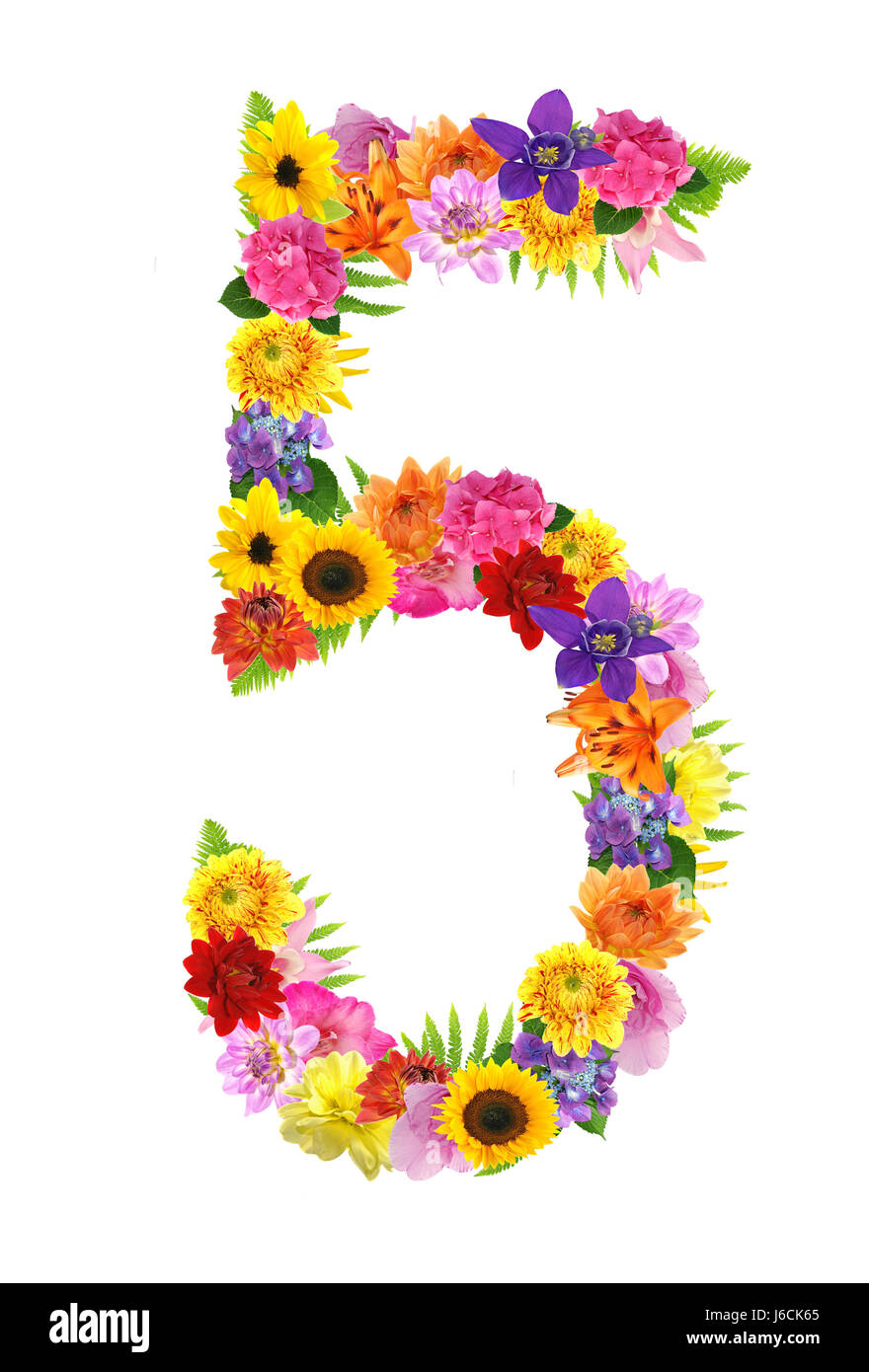 Cinq fleurs usine numéro count cinquième cinq magnifiques coloré Banque D'Images