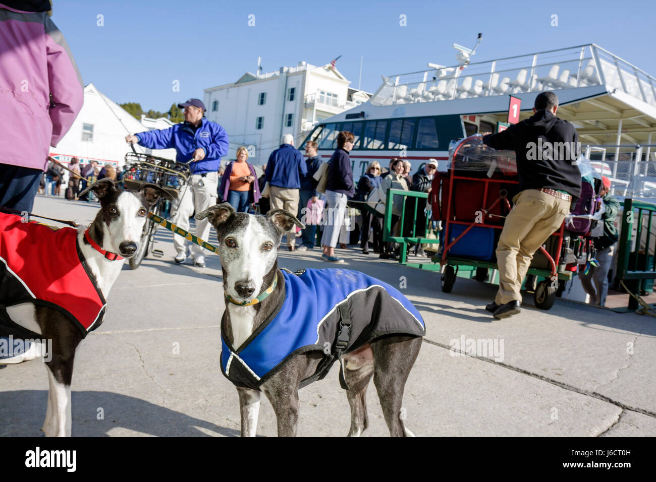 Mackinac Island Michigan, parc national historique Mackinaw, détroit de, lac Huron, Arnold Ferry Line Dock, Arnold Transit Company, Mackinaw City catamara Banque D'Images