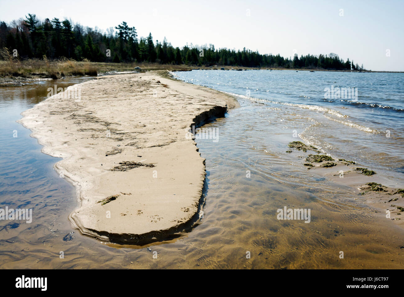 Michigan Upper Peninsula,U.P.,UP,Naubinway,Lake Michigan,point le plus au nord,Grands Lacs,nature,rivage,peu profond,érosion,eau,MI090512028 Banque D'Images