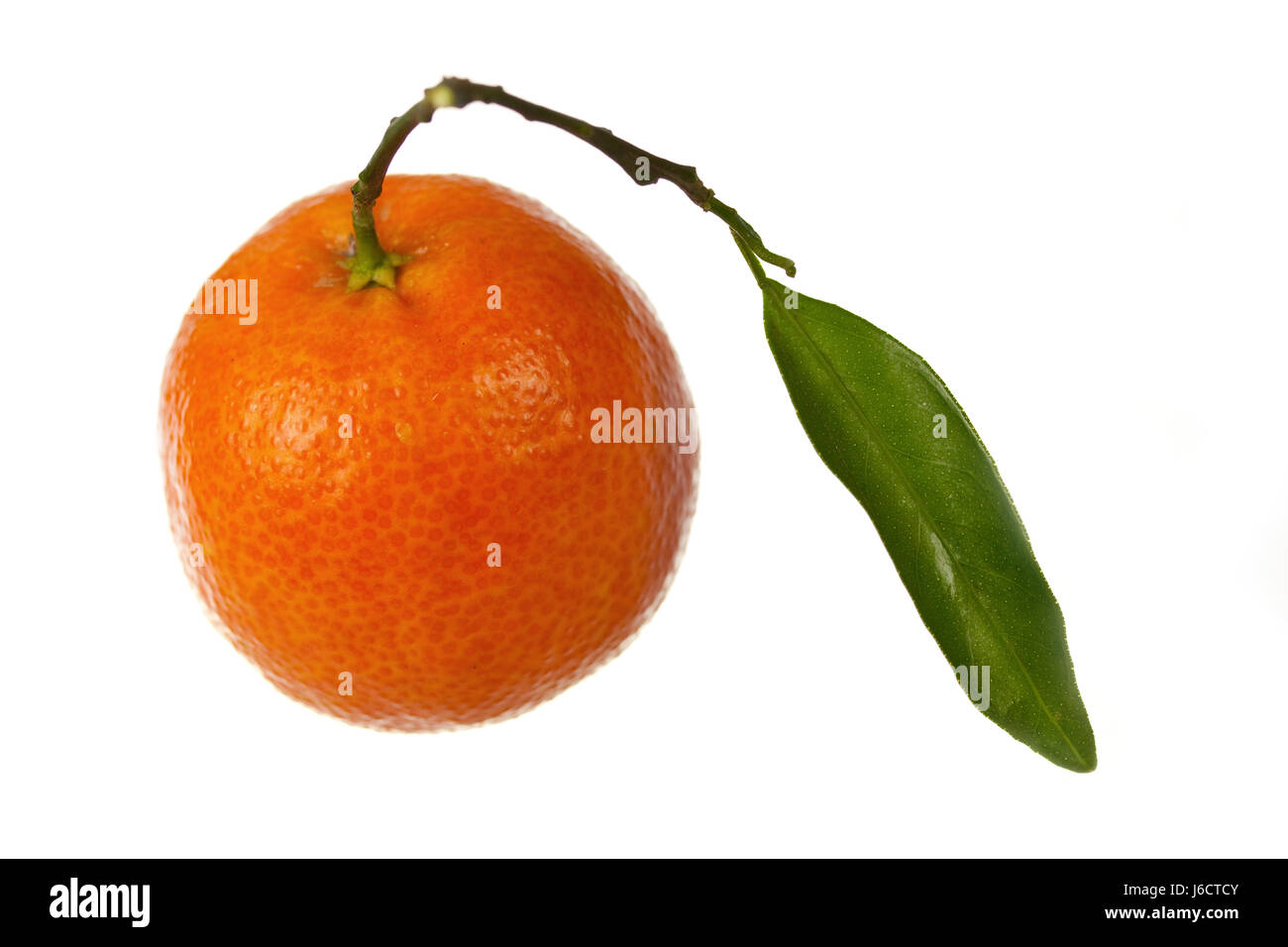 En option d'orange Jus de fruits jus de mandarine verte feuille page alimentaire orange Banque D'Images