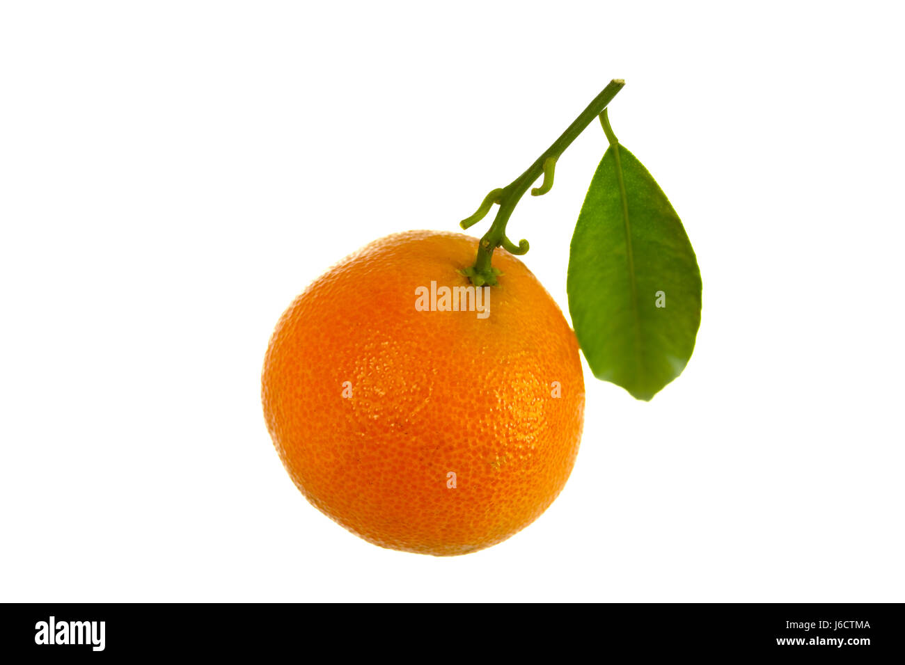 Orange douce mandarines exemptés Banque D'Images