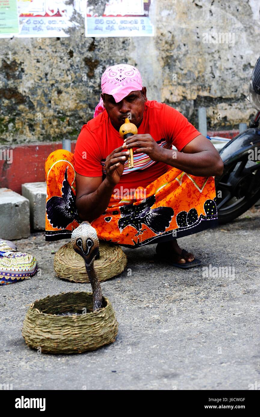 Charmeur de serpent avec un cobra, port de Colombo Banque D'Images