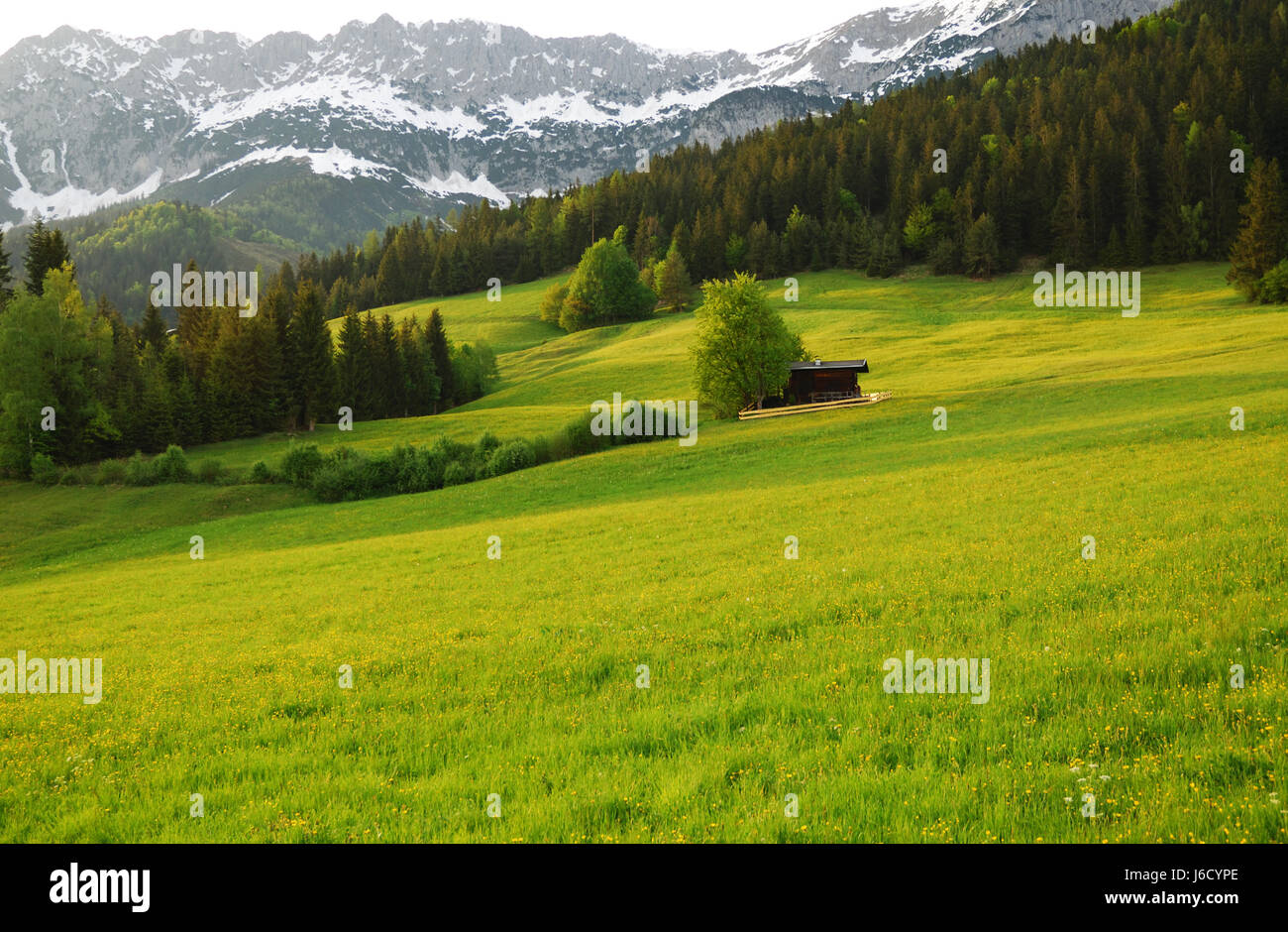 L'Autriche alpes paysage nature paysage idyllique campagne seul lonely mountain Banque D'Images