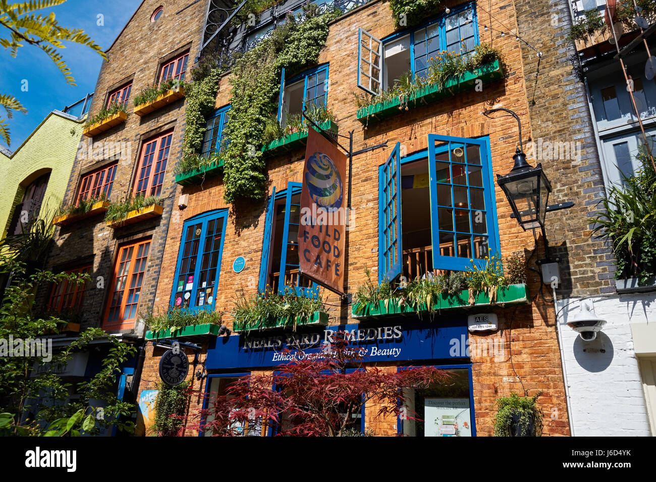 Neal's Yard Square à Covent Garden, Londres, Angleterre, Royaume-Uni, UK Banque D'Images