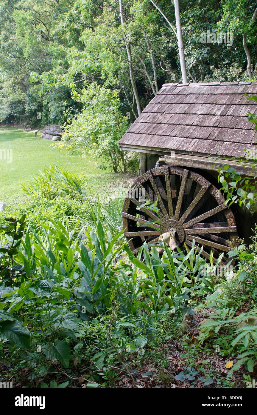 Moulin à eau libre dans la forêt Banque D'Images