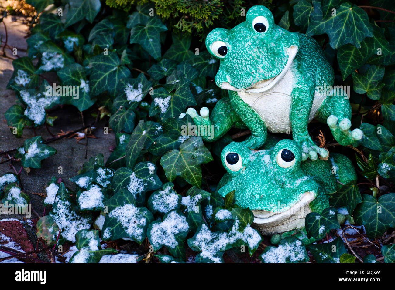 Cute green frog fellows jouant dans l'herbe verte. Banque D'Images
