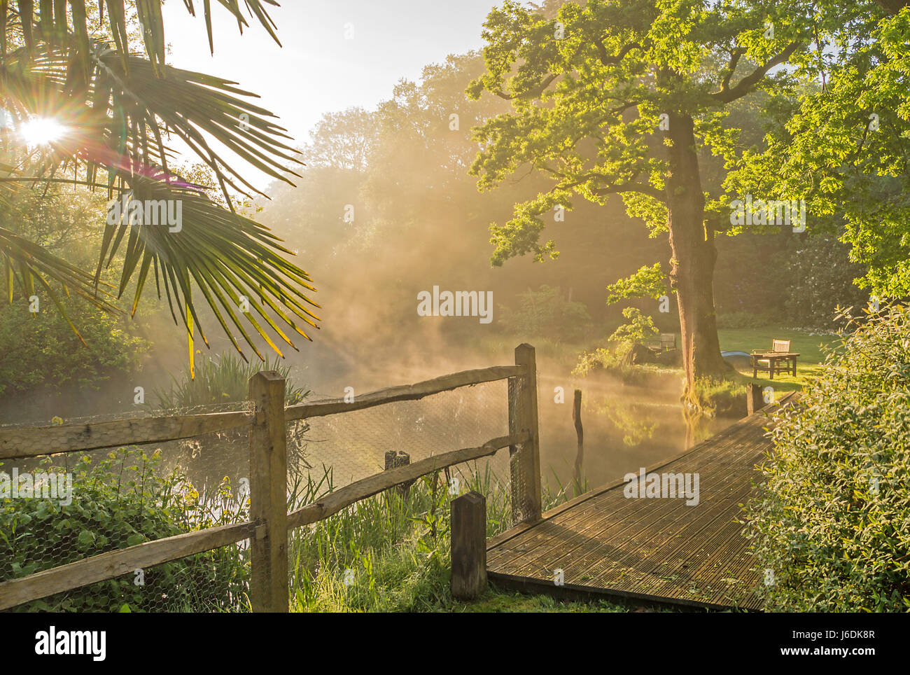 La combustion de l'aube sur l'étang dans un jardin de l'angleterre surrey rural. Banque D'Images