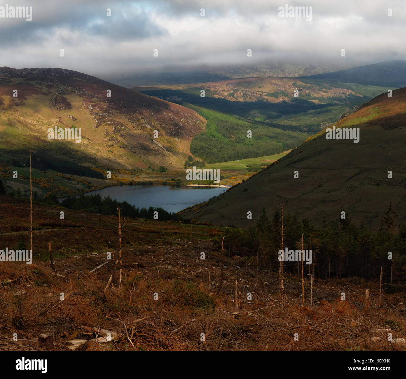 Le Lough Dan, Ballinrush, Luggala, Wicklow, Irlande Banque D'Images