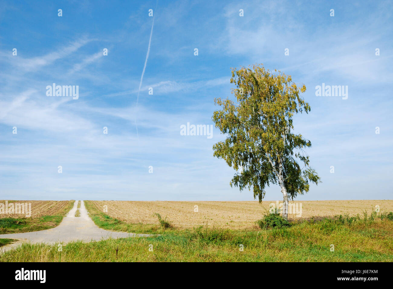 Paysage nature paysage campagne chemin chemin firmament seul ciel large solitaire Banque D'Images