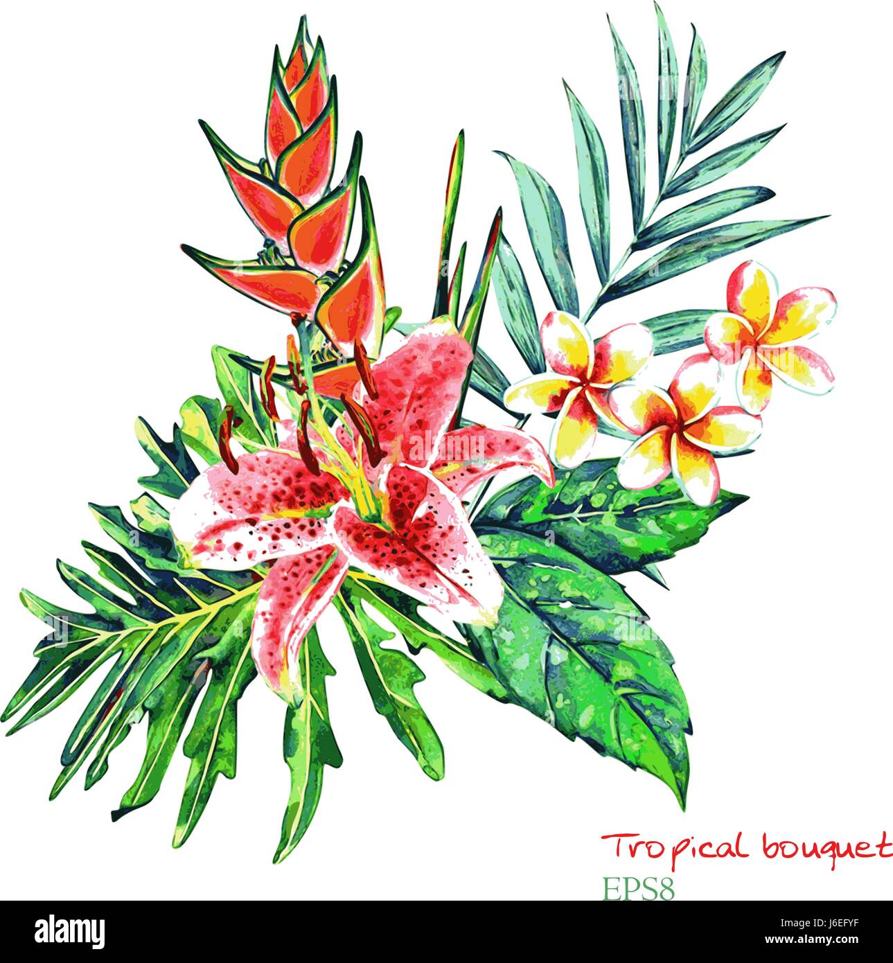 Bouquet Tropical Les Fleurs Exotiques De Lily Plumeria Heliconia Et Foret Tropicale Avec Palmiers Et Feuilles Monstera L Aquarelle Fait Main Isole Sur Bac Blanc Image Vectorielle Stock Alamy