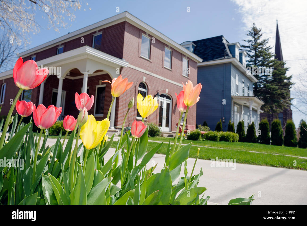 Marquette Michigan Upper Peninsula EN HAUT du lac supérieur, East Ridge Street, début de printemps, tulipe, fleur, jardin, maison maisons maisons maisons résidence, logement, entraînement Banque D'Images