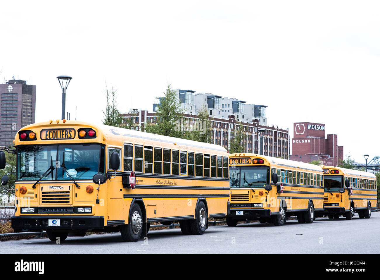 Trois autobus scolaires jaunes Banque D'Images