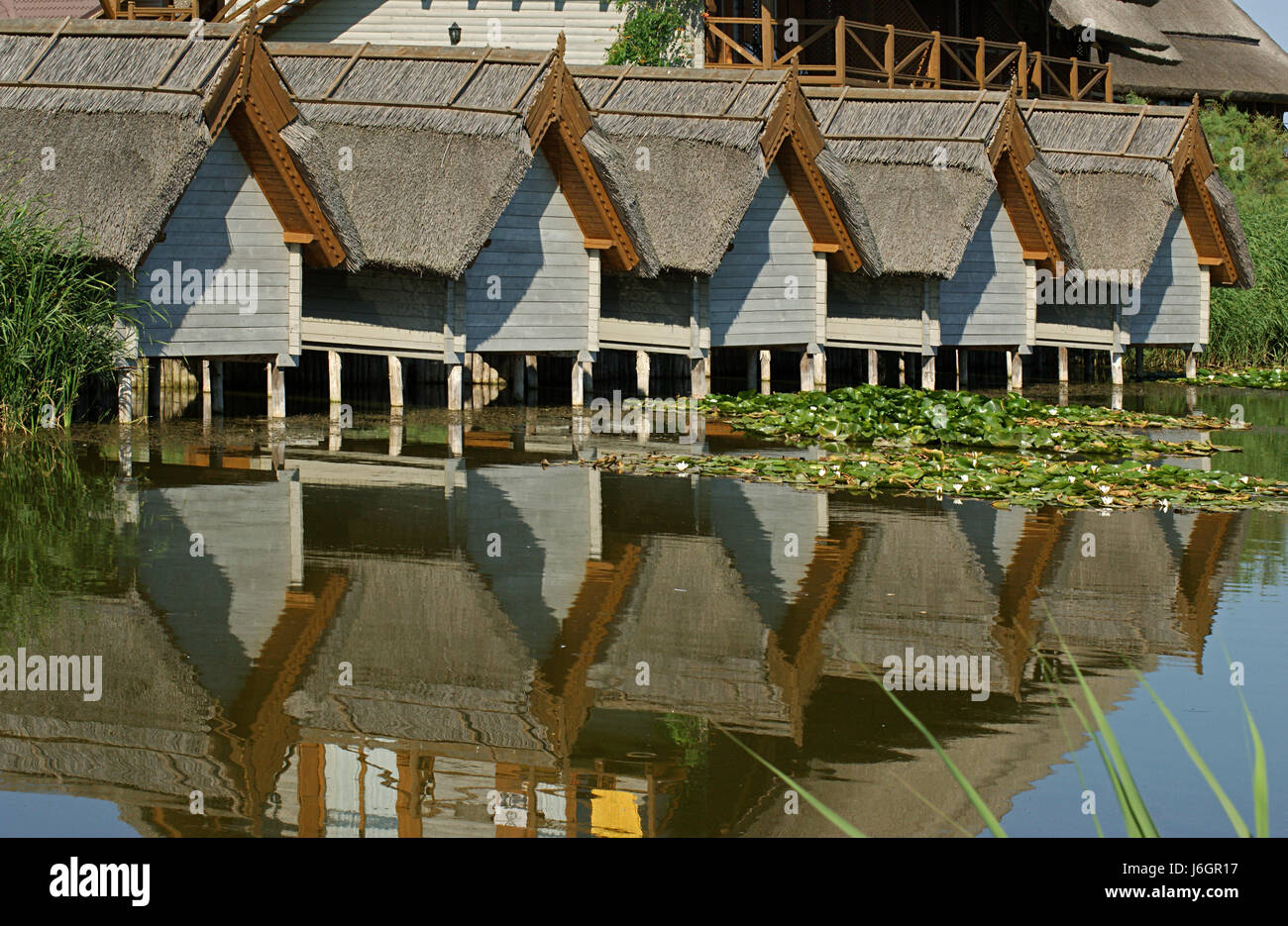 Cottages by l'étang aux nénuphars Banque D'Images