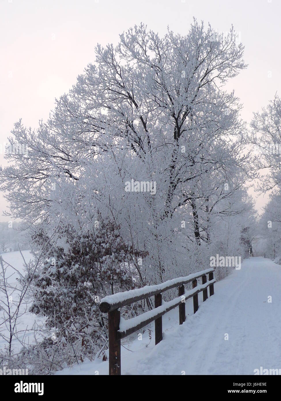 Jahreszeiten hiver baum bume brcke gelnder weg schnee winter jahreszeit Banque D'Images