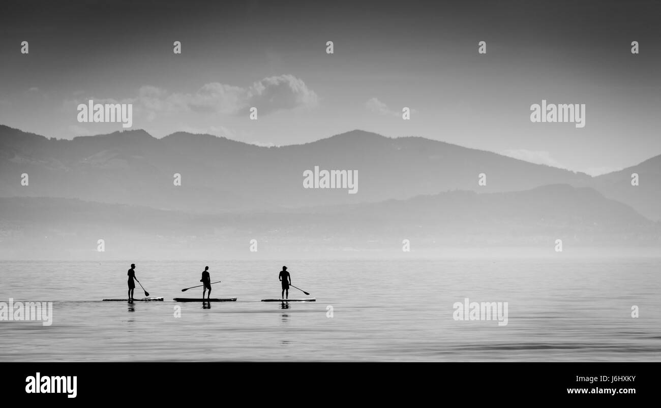 Paddle Boarders sur Lac Léman - Lac de Genève, Lausanne, Suisse Banque D'Images
