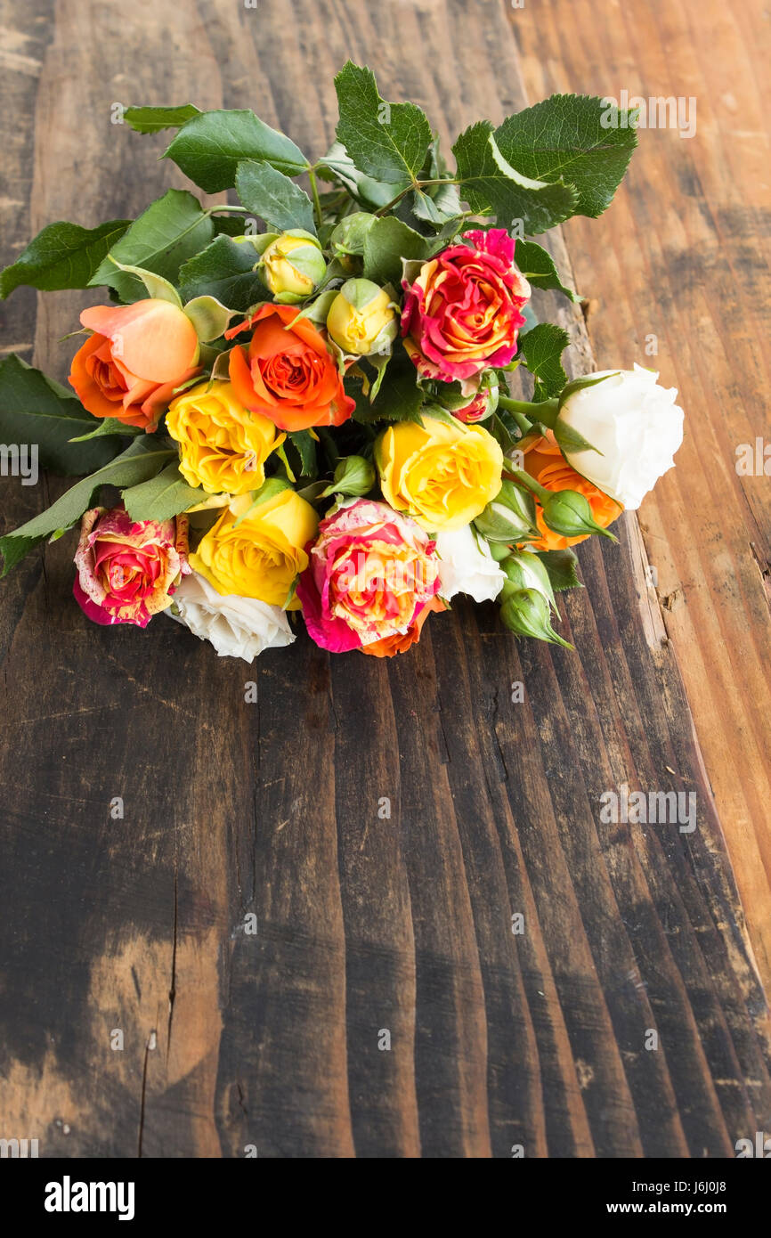 Bouquet de roses multicolores avec l'exemplaire de l'espace sur un fond de bois rustique. Banque D'Images