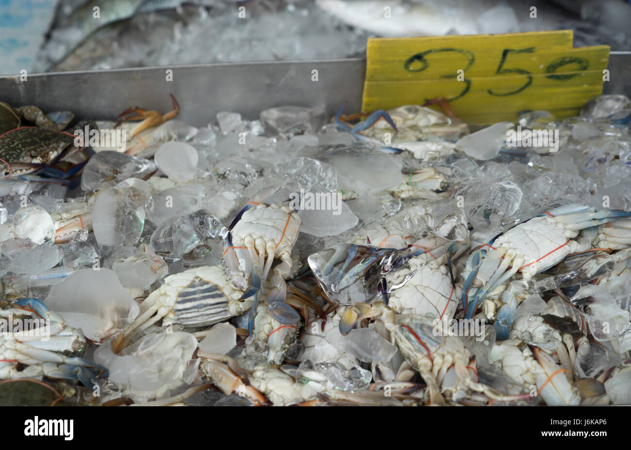 Marché de fruits de mer frais Banque D'Images