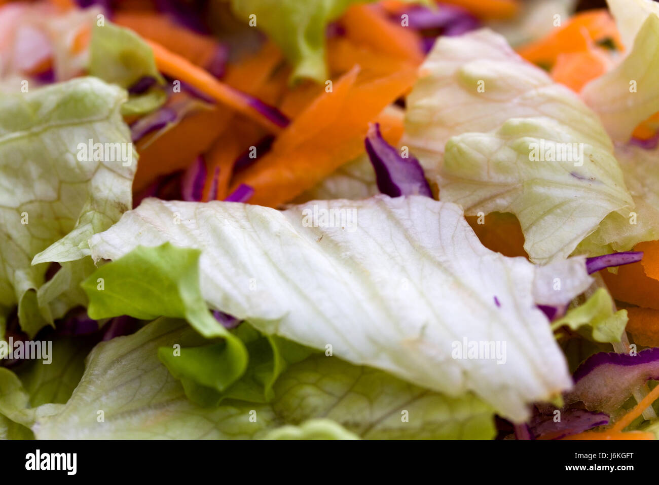Salade du jardin avec des herbes Banque D'Images