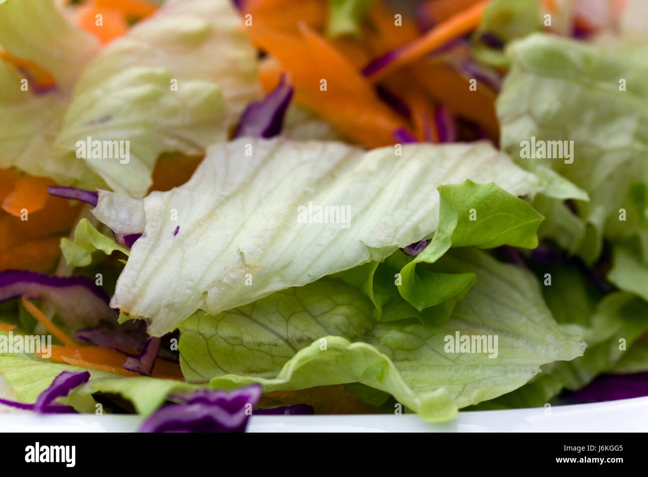 Salade du jardin avec des herbes Banque D'Images