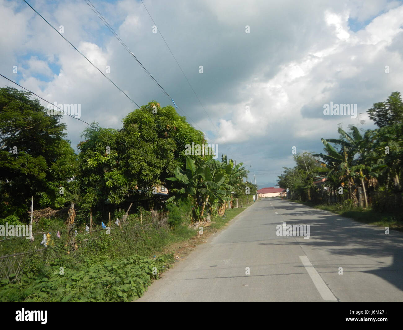 L'image représente le paysage agricole de Candaba, Pampanga, avec des rizières, des systèmes d'irrigation, des arbres, et des prairies, avec des routes reliant les fermes et les marchés locaux. Banque D'Images
