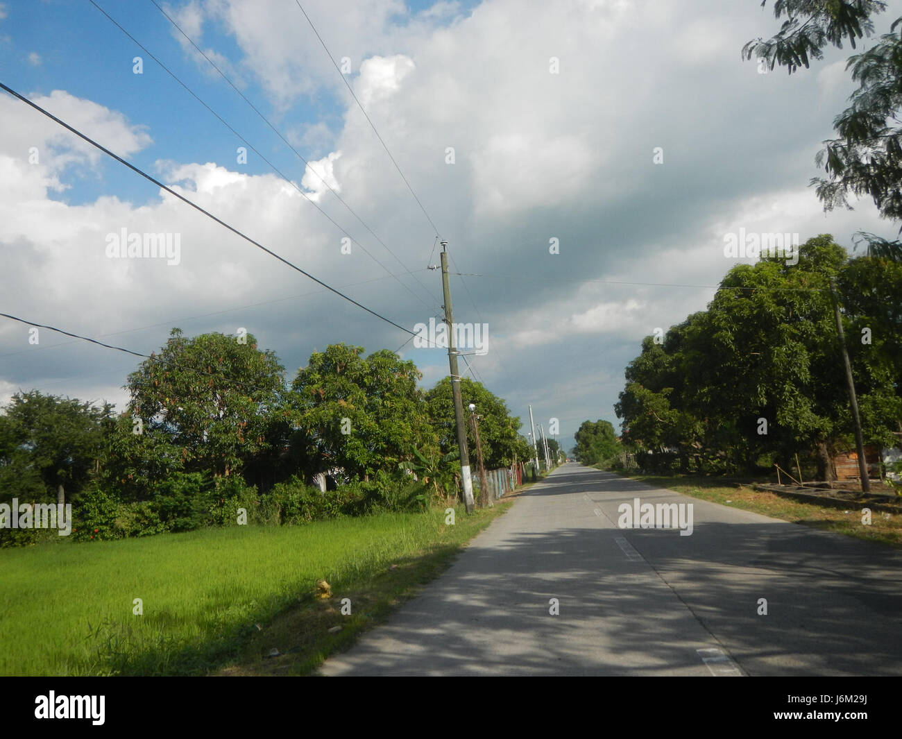 La région de Salapungan, Candaba, Pampanga, dispose de rizières, de systèmes d'irrigation, arbres et prairies. La région est connue pour ses activités agricoles, avec un accent sur la culture du riz et la conservation de l'environnement par l'irrigation. Banque D'Images